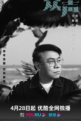 《众声》：音乐梦想与现实残酷，追梦之旅的灵魂碰撞。