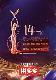 金鹰节荣耀盛典：第十四届中国金鹰电视艺术节全回顾