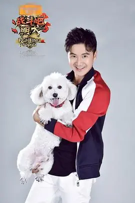《战斗吧萌犬》：萌犬的逆袭之路，笑泪齐飞的励志喜剧
